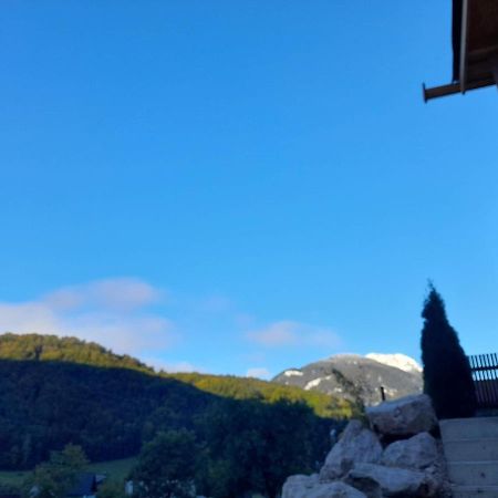 バート・イシュルAuszeit Am Weinbuehelアパートメント エクステリア 写真