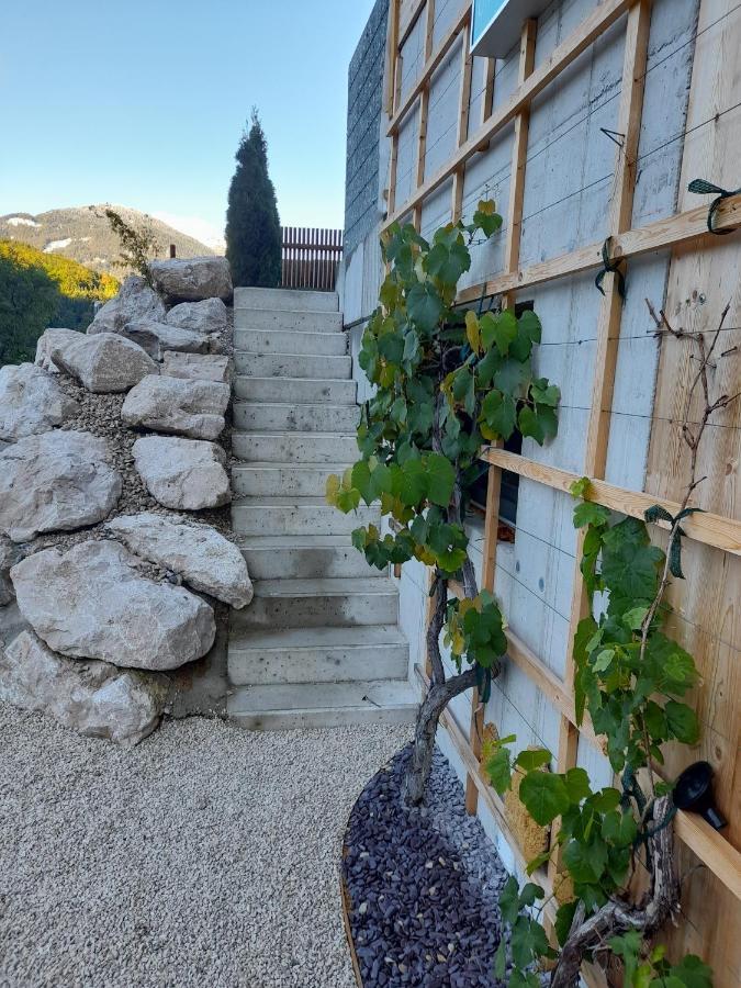 バート・イシュルAuszeit Am Weinbuehelアパートメント エクステリア 写真